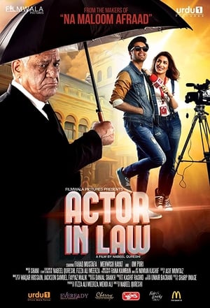 Actor in Law (2016) Movie Pakistani [1.2GB] Download