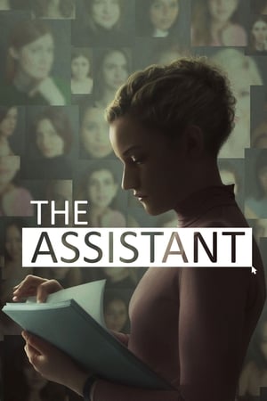 Assistant 2021 Hindi (Fan Dub) Dual Audio [650MB]