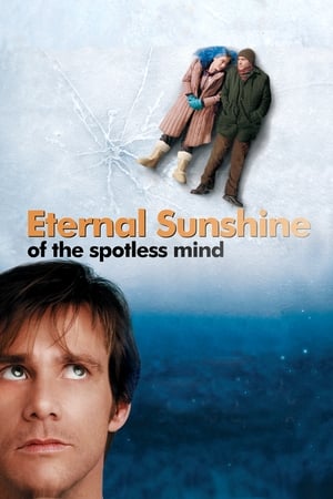 Eternal Sunshine Of The Spotless Mind 2004 Hindi Dual Audio [780MB]