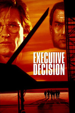 Executive Decision (1996) Hindi Dual Audio 400MB