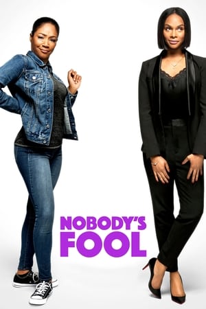 Nobody’s Fool (2018) Hindi Dual Audio [1GB]