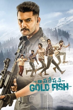 Operation Gold Fish 2019 (Hindi - Telugu) Dual Audio 360MB