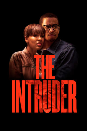The Intruder (2019) Hindi Dual Audio 350MB