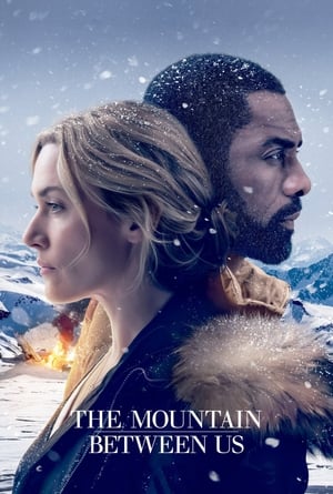 The Mountain Between Us 2017 Dual Audio Hindi [1GB]