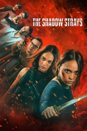 The Shadow Strays 2024 Hindi Dual Audio – – 480p