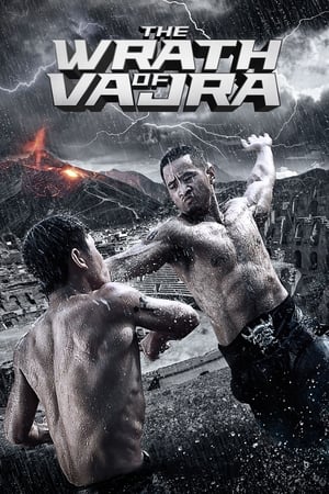 The Wrath of Vajra (2013) Hindi Dual Audio [900MB]