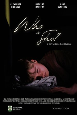 Who is She? (2025) Hindi (MULTI AUDIO) – – 1080p